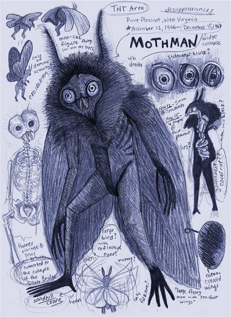 The mothman cacse